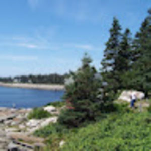 Meet your Posher, Whitney